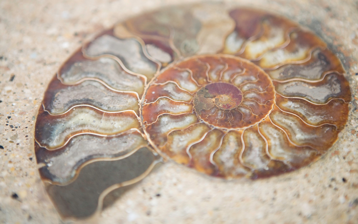 CONCRETE MOULDING CHAMONIX