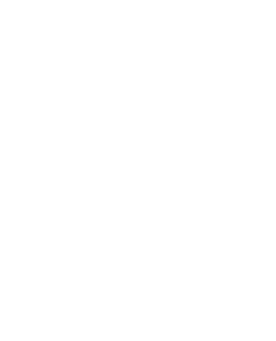 strutt-logodev-home-01